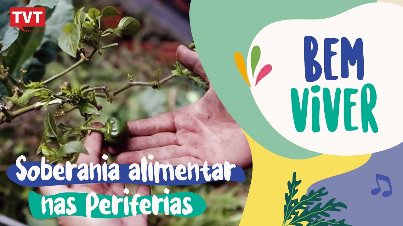 As hortas comunitárias da Uneafro Brasil