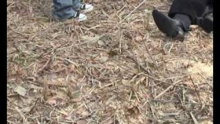 le mordeur du val 1.wmv