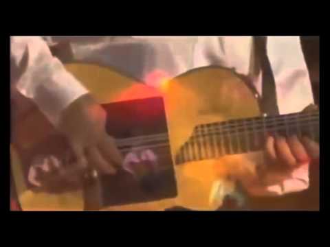 rumba de nicolas solo