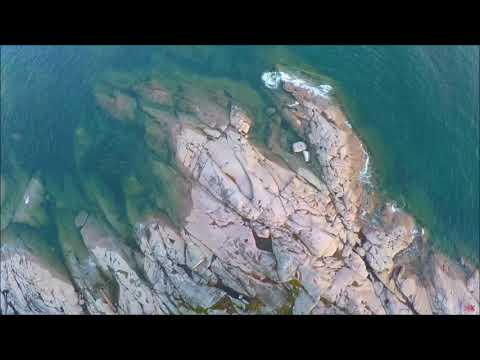 Enrique Granados Twelve Spanish Dances, Op. 37 - V. Andaluza