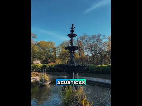 Jardin botánico de montevideo #uruguay #naturaleza #turismo #montevideo