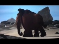 Ice Age We Make A Great Team