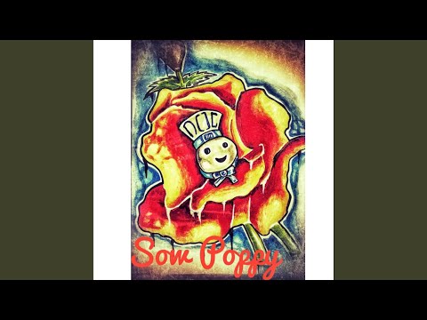 Foreigns x Rollies x Chains (feat. Tdot Pringle)