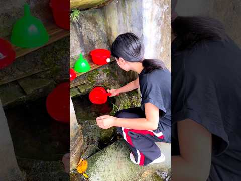 #shorts #agriculture #farming2024 #youngfarmers #shot #EliteShortsUnleashed #2589