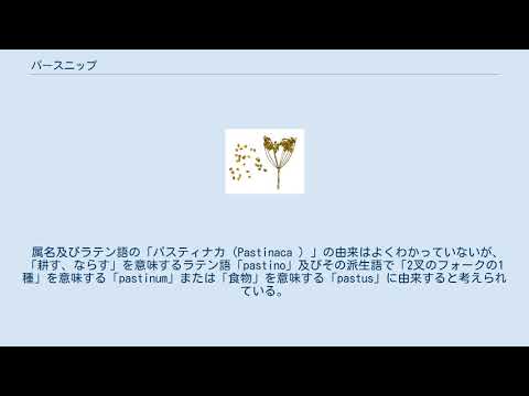 パースニップは生で食べられますか? ライフスタイル