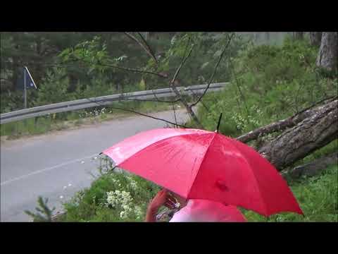 Aleksandar Tesanovic - Brdska trka Zlatibor 2022 - Zastava Yugo 55 N