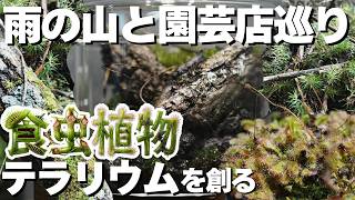 【密閉テラリウム】園芸店と雨の山を巡り、グラスに小さな自然を創る | 食虫植物×Forest Frame 立ち上げ