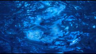 Harold Budd  Algebra