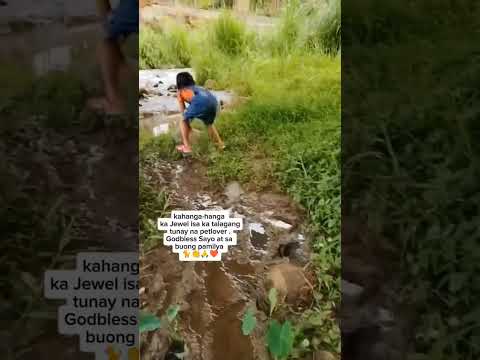 Jewel saved the little kitten and showed real kindness 🙏 #jewelthepetlover #jewelandkawkaw #shorts