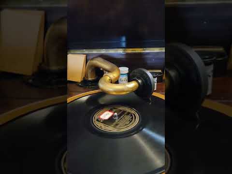 I'll See You in My Dreams - Isham Jones with Ray Miller's Orchestra Brunswick Records #2788 1924