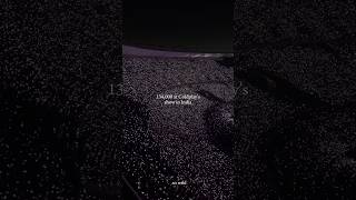 Download lagu Such a heavenly view โจ An India Full of Stars #ColdplayAhmedabad ๐ค ig/erickadesouza Coldplay mp3 Download lagu Such a heavenly view โจ An India Full of Stars #ColdplayAhmedabad ๐ค ig/erickadesouza Coldplay mp3