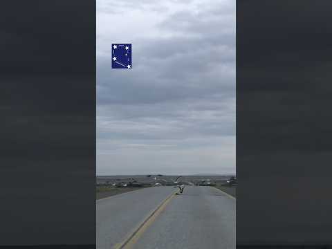 GAVIOTAS EN LA RUTA 9 #chile #puntaarenas #patagonia #surdechile #magallanes #patagoniachilena #puq