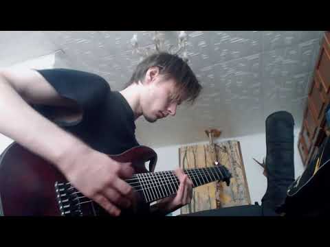 Berlin, Berlin! - We Butter The Bread With Butter 😸(8 string cover)