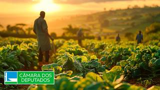  Discussão e votação de propostas legislativas - 18/03/2026 10:00