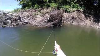 More Sizzling Summer Fly Fishing Action