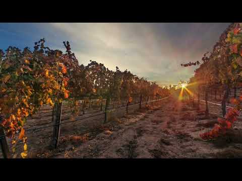 FRESH WARFARE PRAYERS TO COVER YOUR LIFE AND FAMILY - PASTOR ROBERT CLANCY