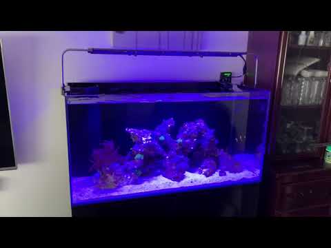 Aqua One 180 Mini Reef
