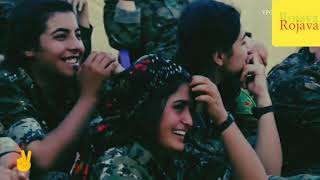 Stranên kurdî(Mem Ararat hawara kobanê) ew law�