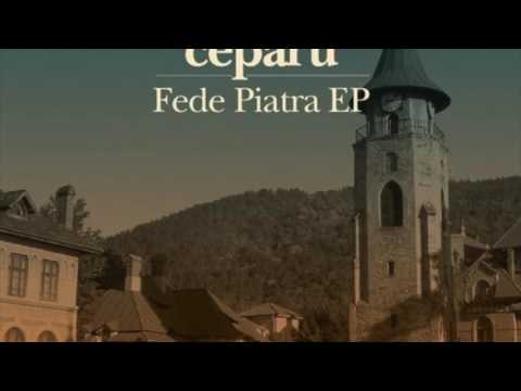 BRT006 A1 Ceparu - Dus Cumintea