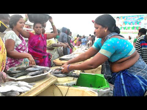 Early Morning Fish Market - Matlapalem near Kakinada Andhra Pradesh INDIA|Ladies Fish marekt