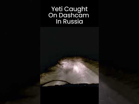 Yeti Caught On Dashcam in Russia Crossing Snow Covered Country Road #Shorts #Yeti #Bigfoot
