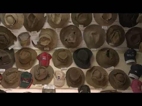 The Jackson Collections