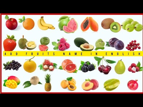 400 FRUITS NAME IN ENGLISH – THE ENCYCLOPEDIA OF FRUITS