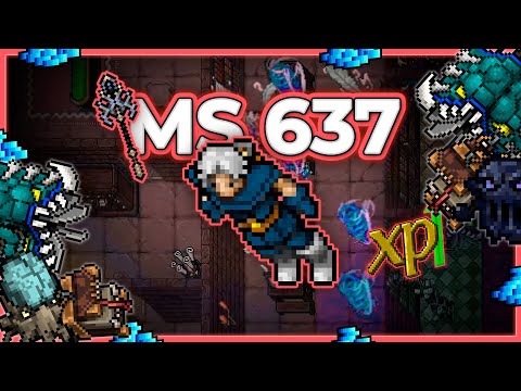 MS 637 Hunt x4 Secret Library Ice Section 6.2kk/h Raw + 2.3kk Profit - Tibia Hunt [13.17] #tibia