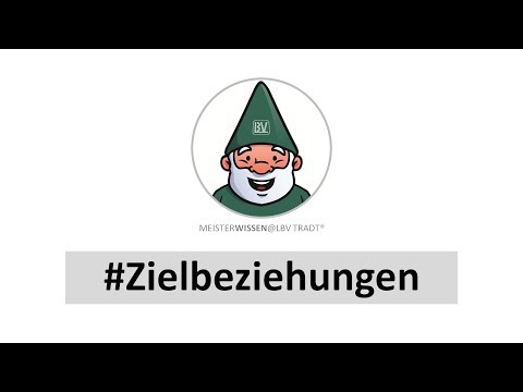 Meisterprüfung Teil 3 Zielbeziehung Zielkonflikt Zielharmonie Meisterwissen LBV Tradt [MK K01 T06]