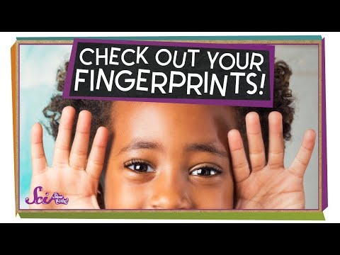 See Your Own Fingerprints!