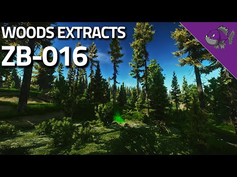ZB-016 - Woods Extract Guide - Escape From Tarkov