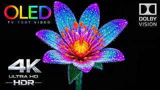 Download lagu UNREAL QD-OLED 4K Demo ✨ | 1 Billion Colors in 4K HDR 120FPS Dolby Vision (OLED Test) mp3
