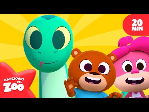 Soy una Serpiente y Más Clasicos de @CancionesDelZoo 🐍 Canciones para niños | El Reino Infantil