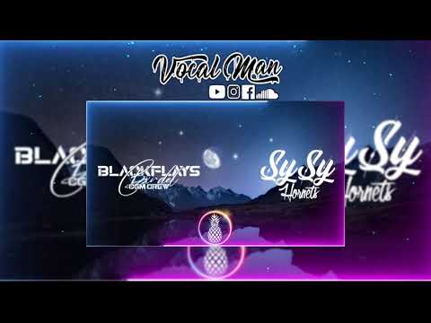 DJ BLACKFLAYS FT SYSY ZELE OTAGE CGM CREW - HORNETS