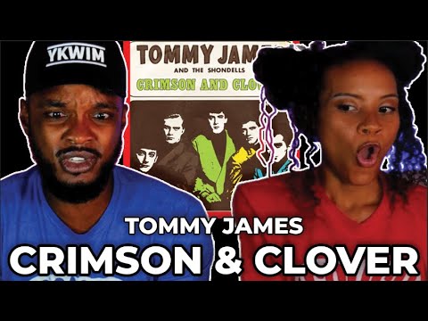 HOLD UP 🎵 Tommy James & The Shondells - Crimson and Clover REACTION