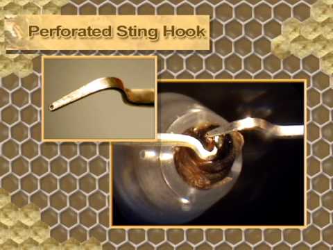 Instrumental Insemination of HoneyBee Queens - Part 1 of 2