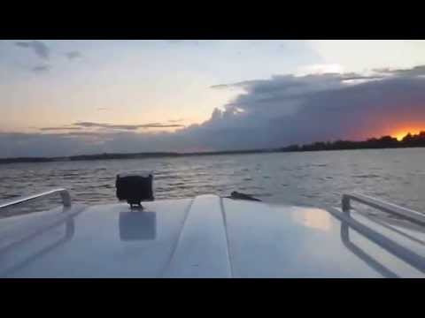 FishRoad 530 HT Profi + Suzuki BF20 ARL