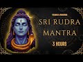 Powerful 3 Hour Rudra Mantra Chanting Lord Shiva S Divine Blessings Spiritual Awakening