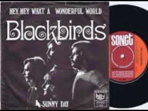 Blackbirds-Hey Hey, what a wonderful world (HQ)