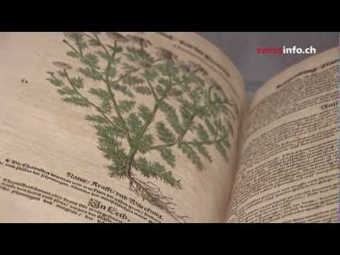 Magic plants and witchcraft