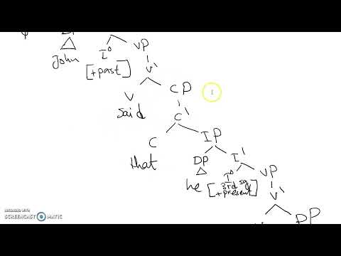How to analyze CP in X' Theory?