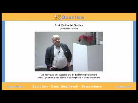 Die Bewegung des Wassers und die Entstehung des Lebens