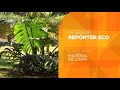 TV Cultura Vertical Repórter ECO Matéria De Capa 2021