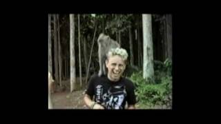 The Landscape Is Changing Live