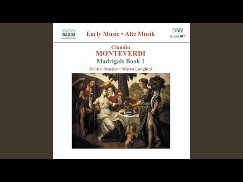 Se d'un angel' il bel viso