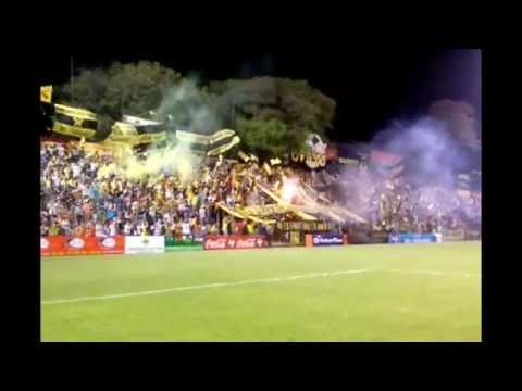 "LA RAZA AURINEGRA - Recibimiento GUARANÃ vs los putos de la B - Clausura 2014 [HD]" Barra: La Raza Aurinegra &bull; Club: Guaraní de Asunción