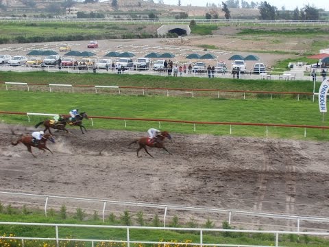 ARBITRADOR: De punta a punta gano a Metano y Murmullo