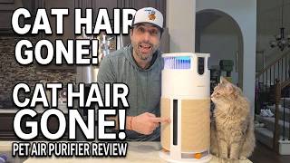 Meowant Air Purifier Review for Pet Hair, Dander & Odors