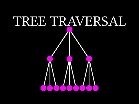 Data Types CS50 Shorts