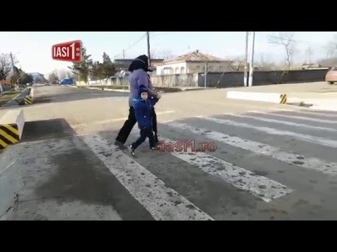 VIDEO Minunea de la Sipote : ZEBRA DINTRE SANTURI